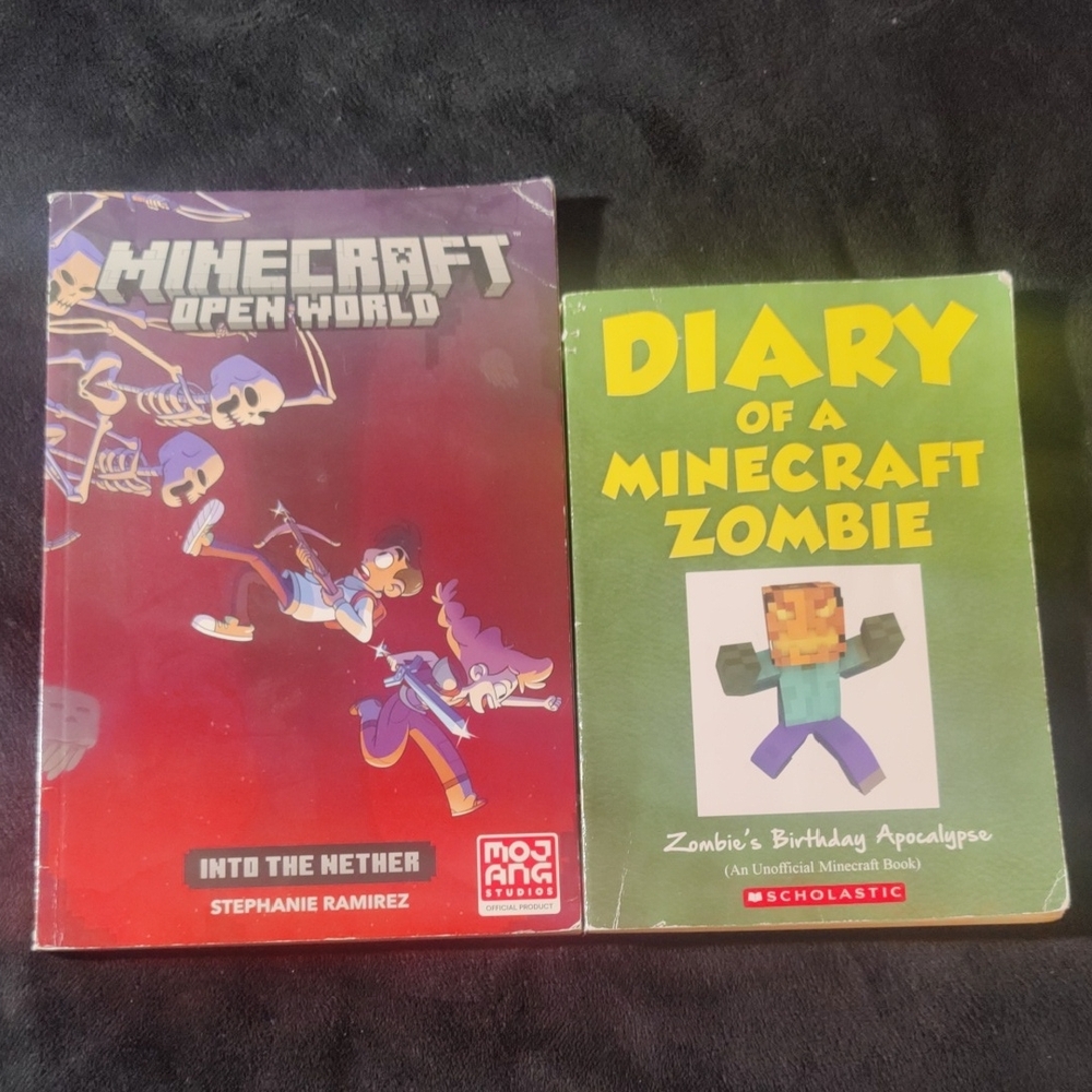 🎉Minecraft Open World: Into the Nether Book & Diary Of a Mindcraft Zombie